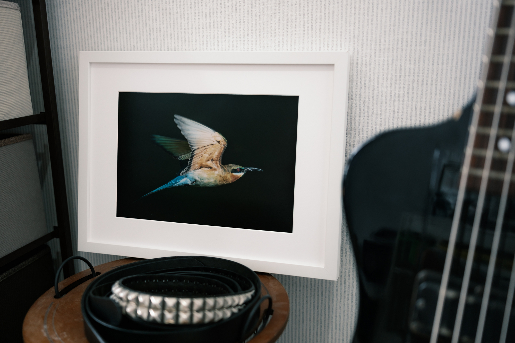 芸術写真 photo print Fujifilm X-T5で撮影した野鳥写真をプリント