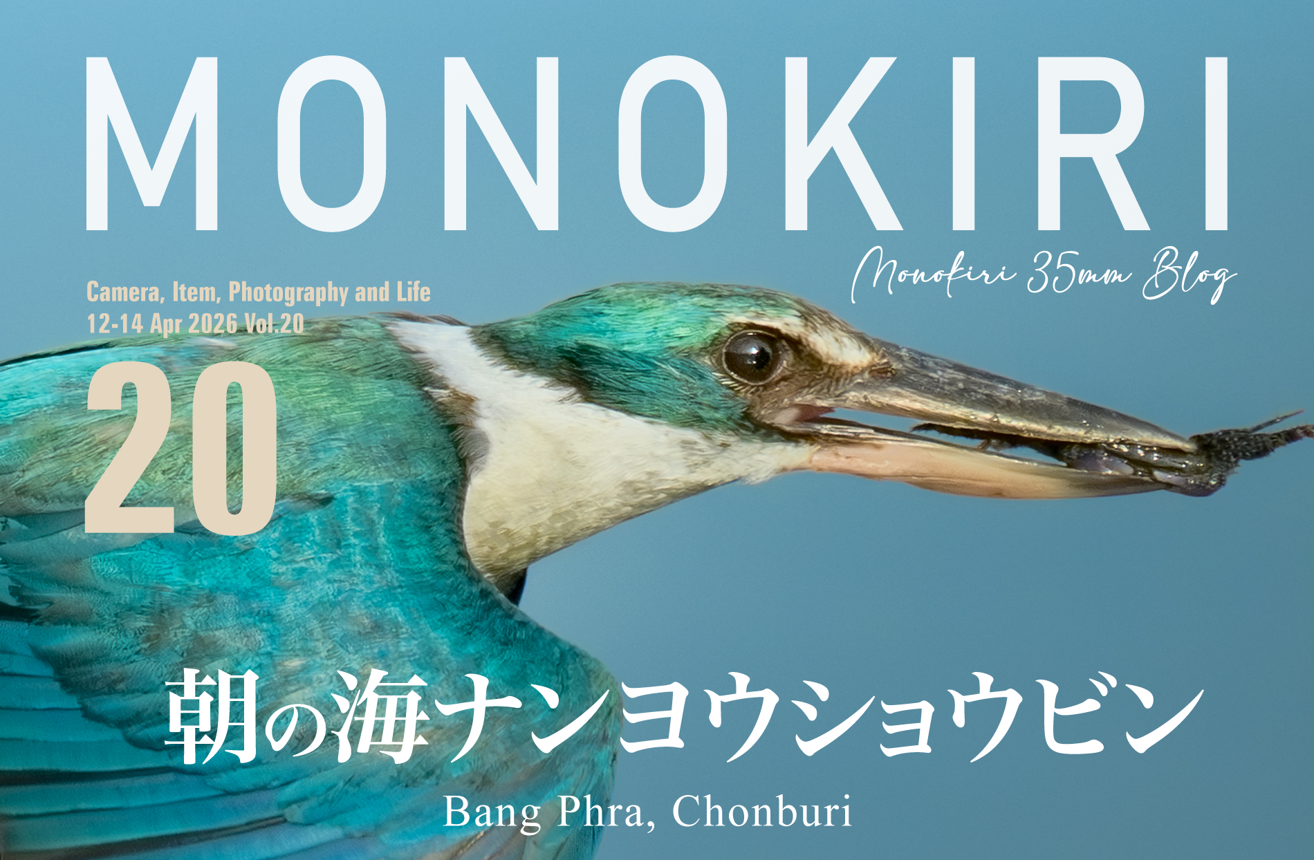 Z8を持ってバーンプラへ『朝の海ナンヨウショウビン』 - MONOKIRI 35mm
