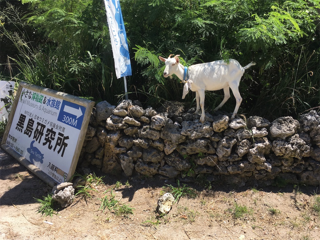 f:id:yotayottan:20180717233556j:image
