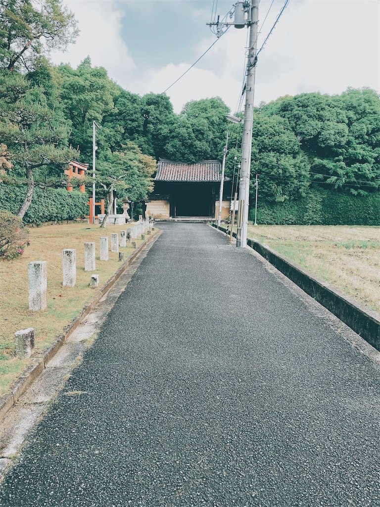 f:id:yotizu04:20240516113055j:image