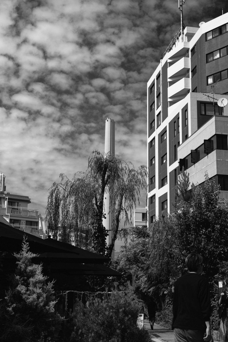 Spring Valley Brewery Tokyo Photori