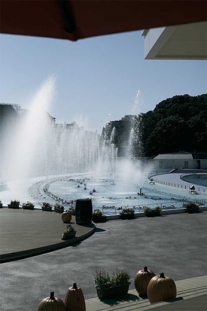 f:id:yotsuba4LC:20241223213433j:image