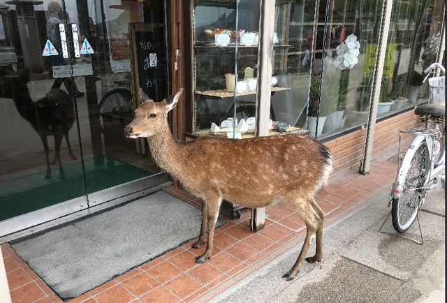 f:id:yotsukado-oldboy:20181007111232j:plain