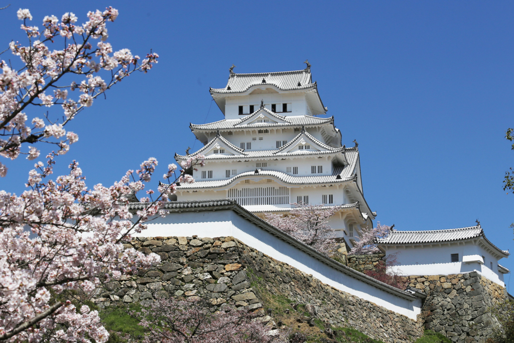 春、桜の姫路城（白鷺城）