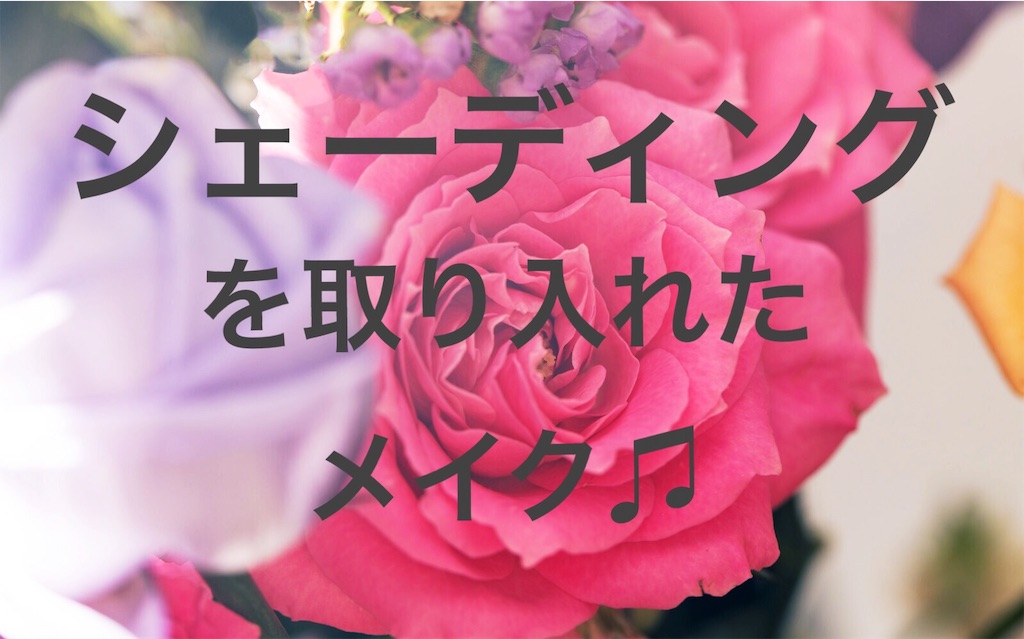 f:id:yottoijo:20190318215843j:image