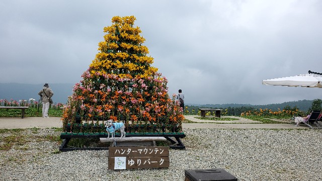 f:id:yotuba2014:20200821165538j:image f:id:yotuba2014:20200821165538j:image