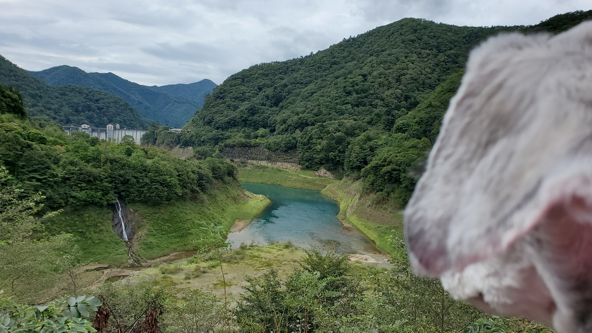f:id:yotuba2014:20200925115625j:plain f:id:yotuba2014:20200925115625j:plain