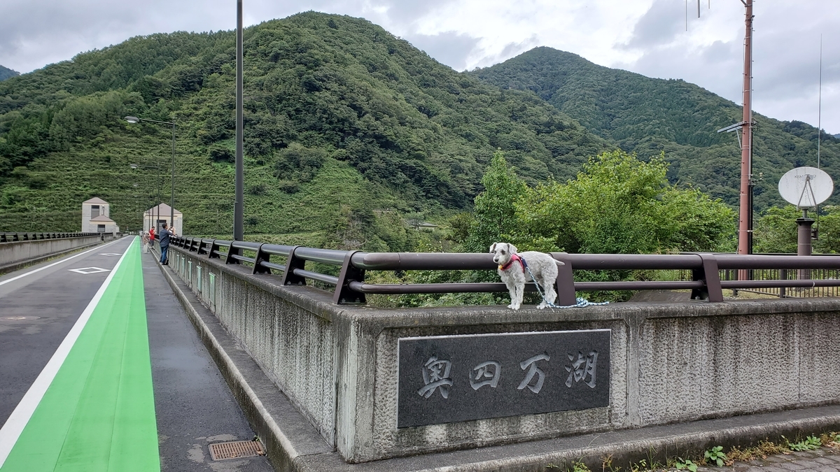 f:id:yotuba2014:20200925120255j:plain f:id:yotuba2014:20200925120255j:plain