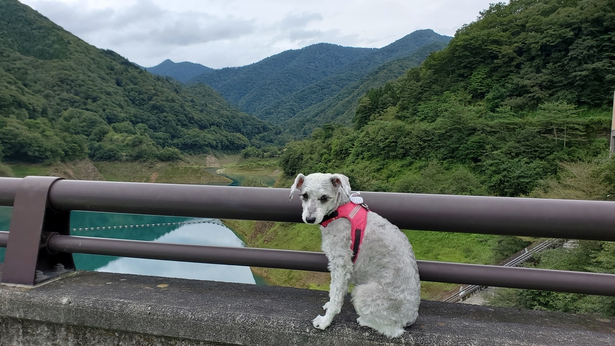 f:id:yotuba2014:20200925120430j:plain f:id:yotuba2014:20200925120430j:plain