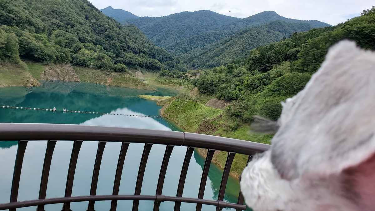 f:id:yotuba2014:20200925120551j:plain f:id:yotuba2014:20200925120551j:plain