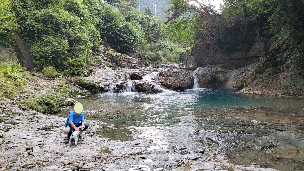 f:id:yotuba2014:20200925173231j:plain f:id:yotuba2014:20200925173231j:plain