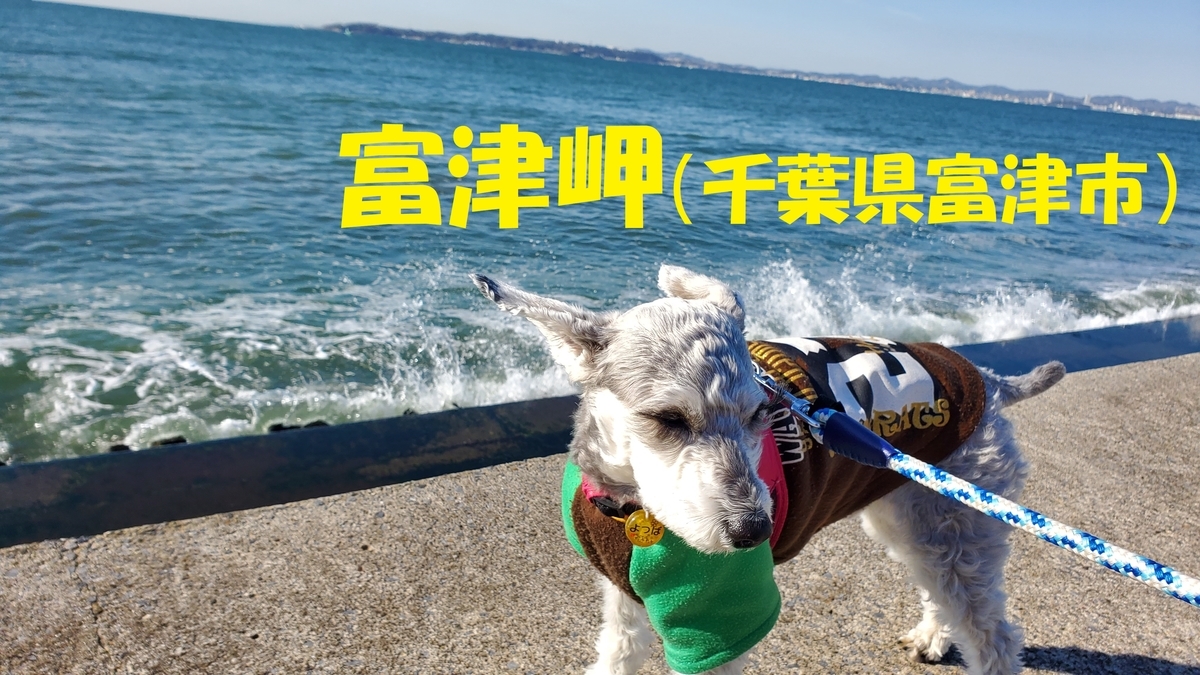 富津公園とは 地理の人気・最新記事を集めました - はてな