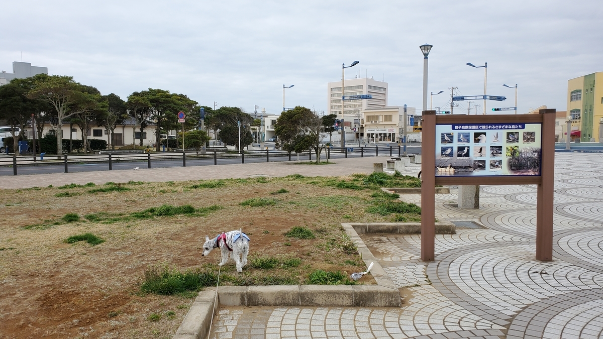 f:id:yotuba2014:20210430015544j:plain
