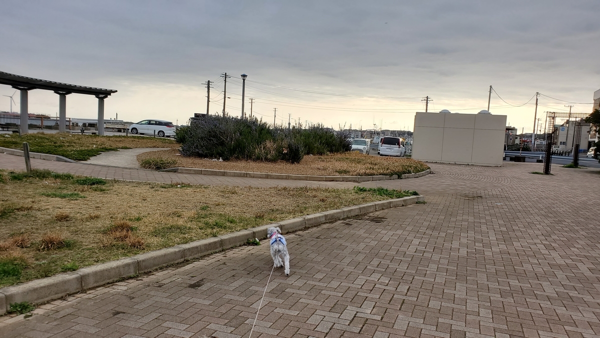 f:id:yotuba2014:20210430015921j:plain