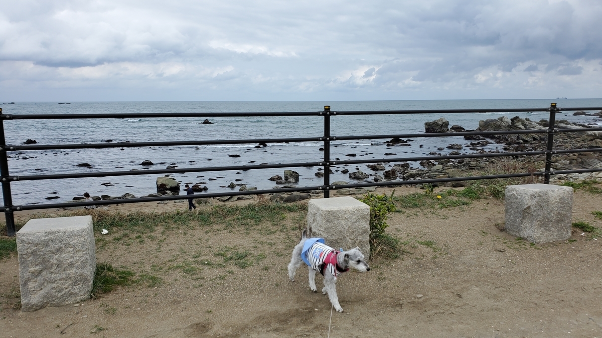 f:id:yotuba2014:20210526120126j:plain