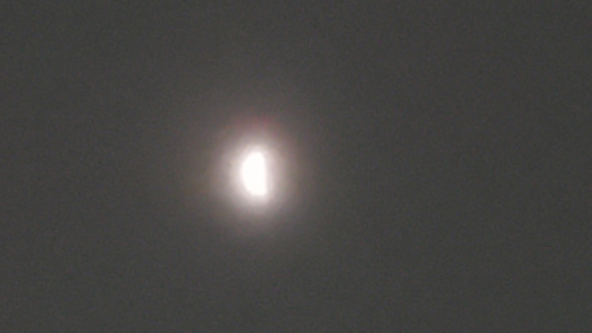 f:id:yotuba2014:20210526232428j:plain