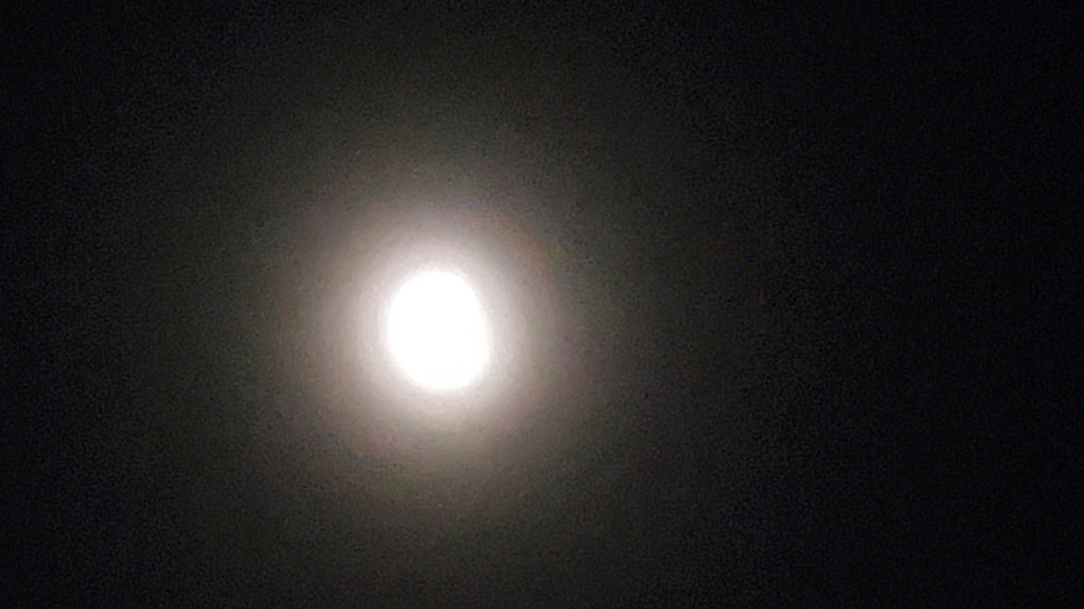 f:id:yotuba2014:20210526232432j:plain