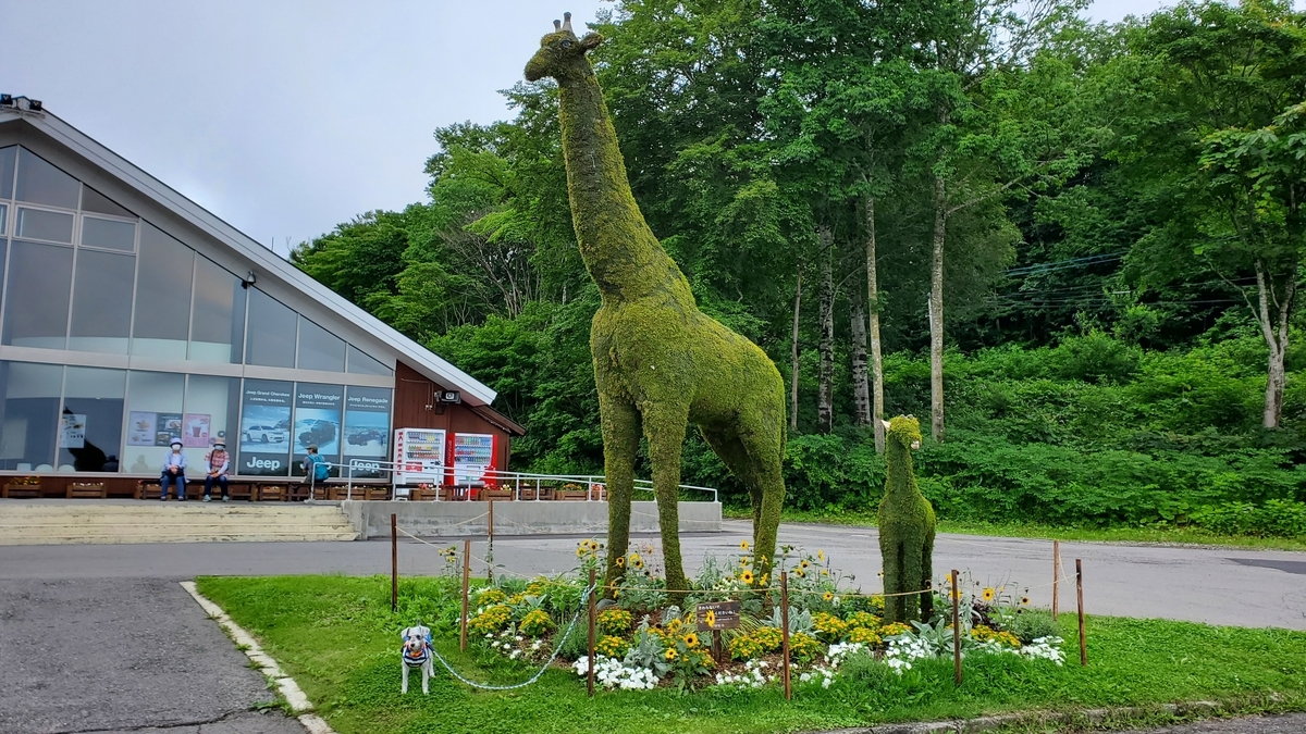 f:id:yotuba2014:20210725161850j:plain