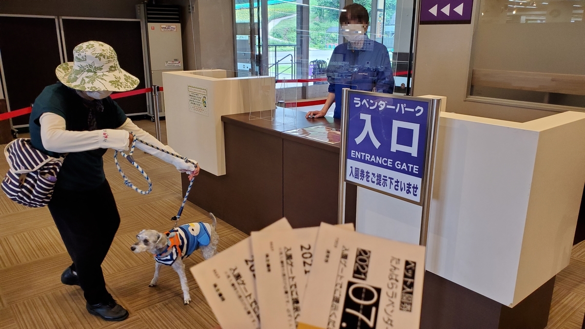 f:id:yotuba2014:20210725162059j:plain