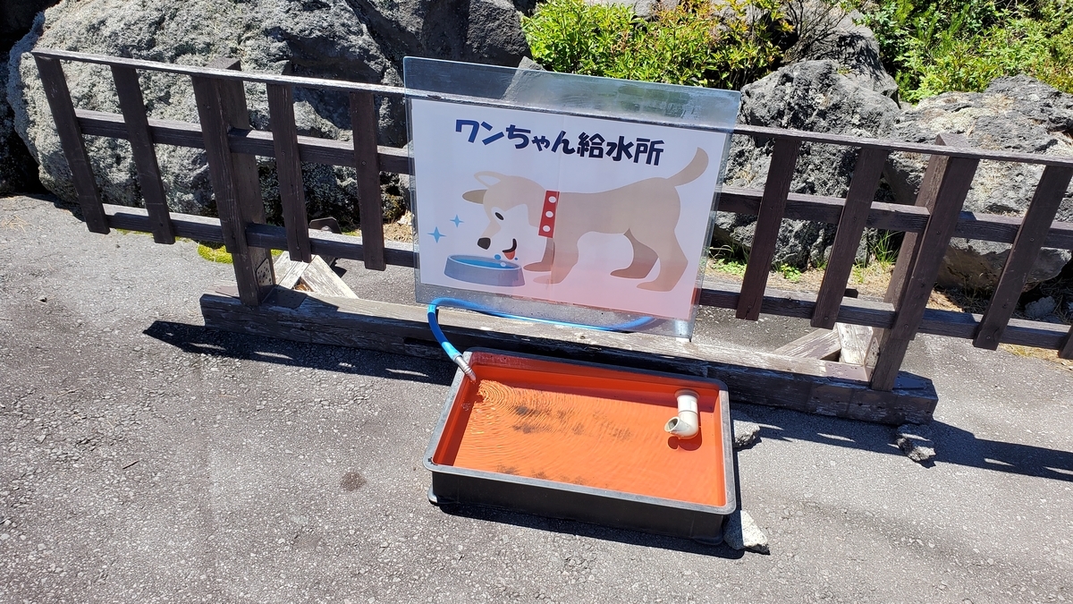 f:id:yotuba2014:20210823094631j:plain