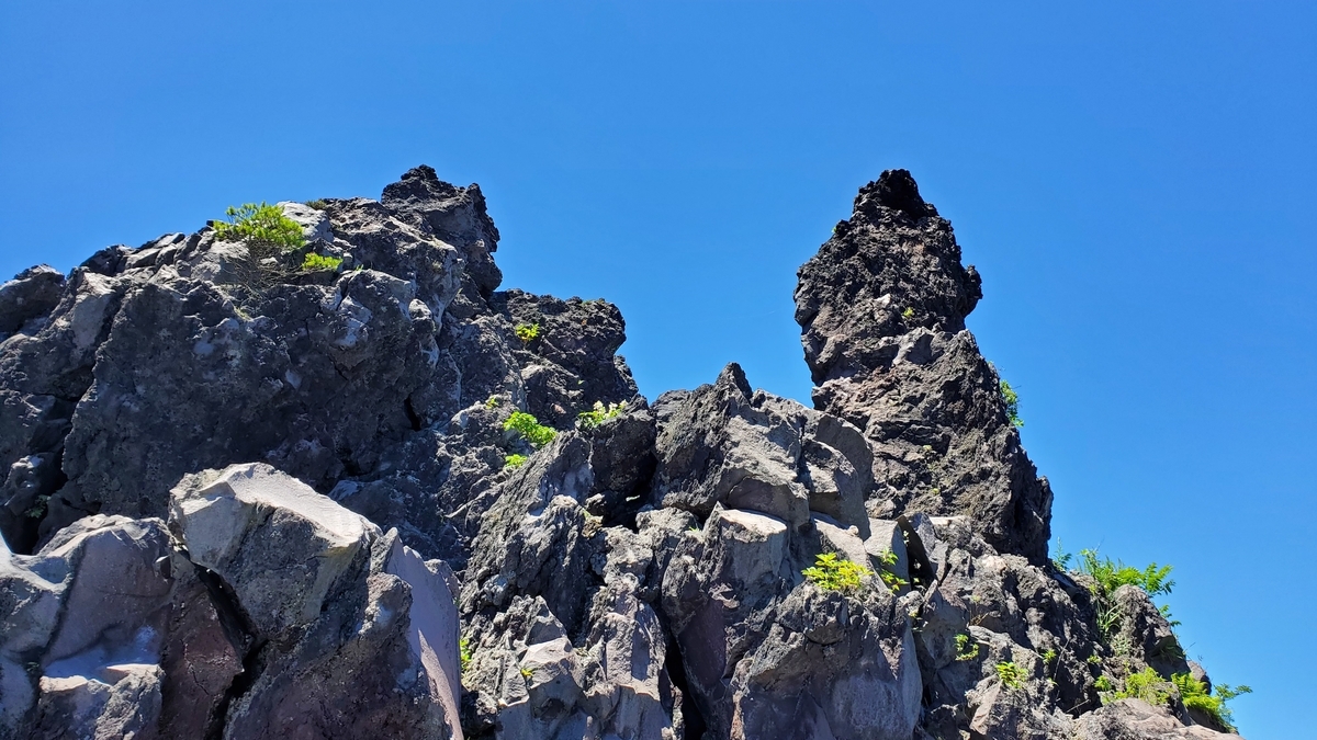 f:id:yotuba2014:20210823095009j:plain