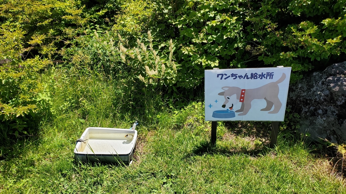 f:id:yotuba2014:20210823103011j:plain