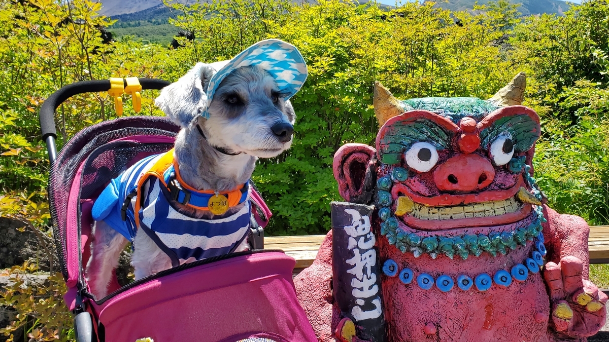 f:id:yotuba2014:20210823103220j:plain