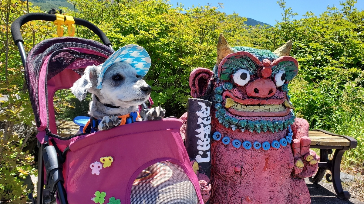 f:id:yotuba2014:20210823103724j:plain