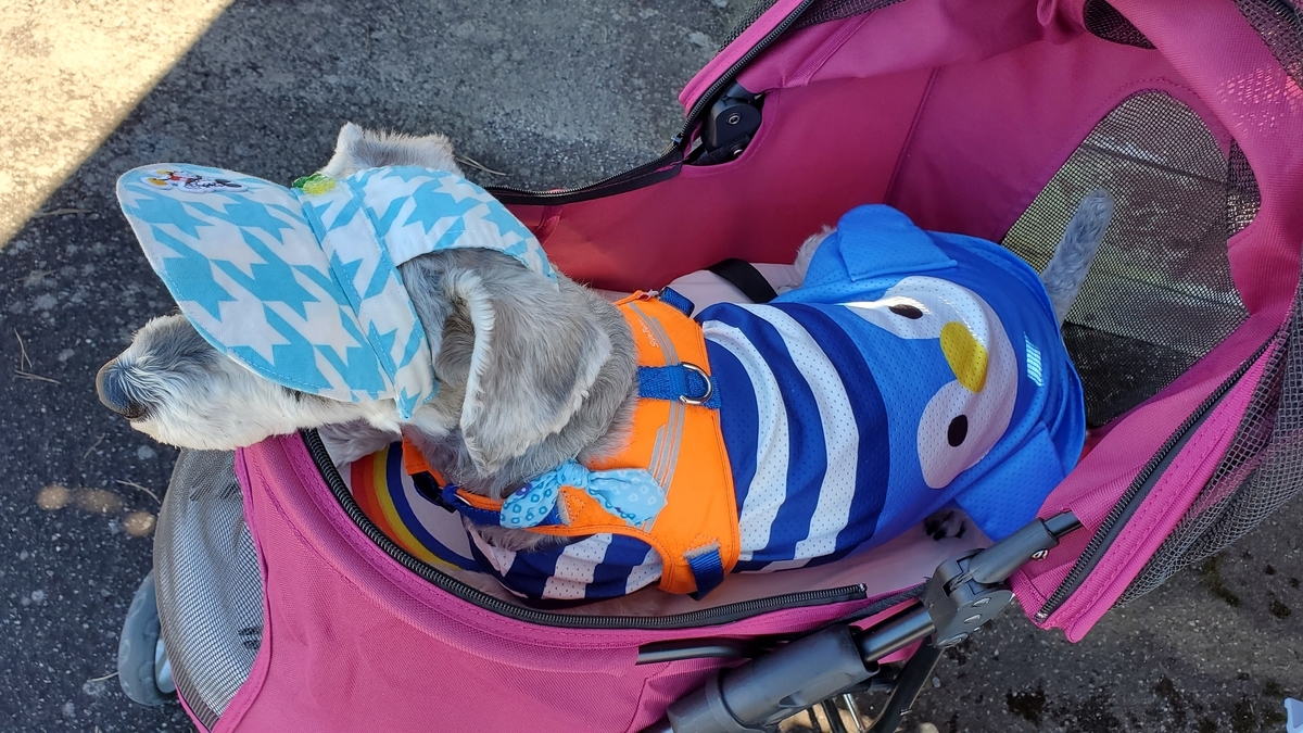 f:id:yotuba2014:20210823104440j:plain