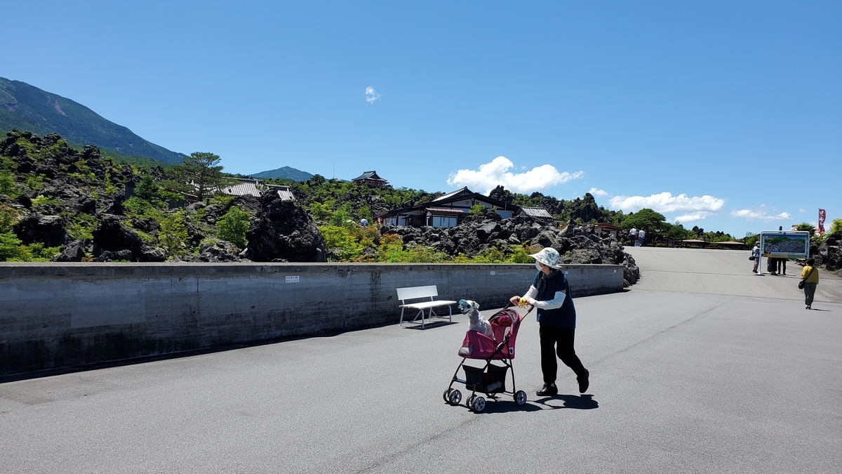 f:id:yotuba2014:20210823104753j:plain