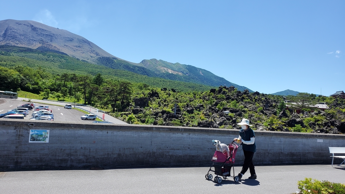 f:id:yotuba2014:20210823104916j:plain