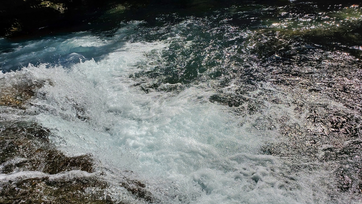 f:id:yotuba2014:20210830094550j:plain