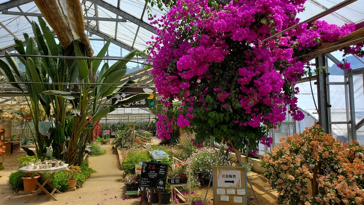 f:id:yotuba2014:20210918014507j:plain