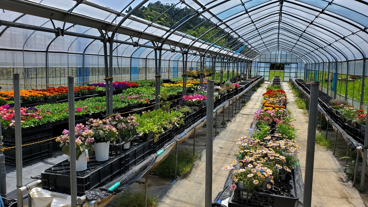 f:id:yotuba2014:20210918014556j:plain