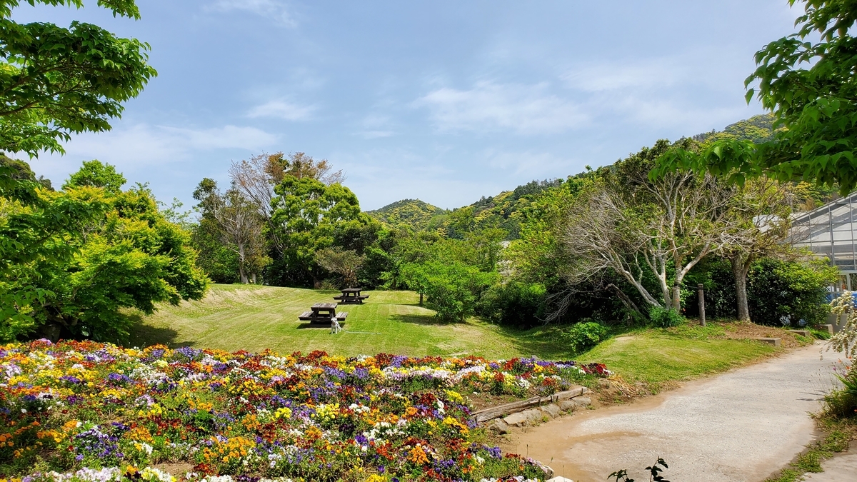 f:id:yotuba2014:20210918014900j:plain