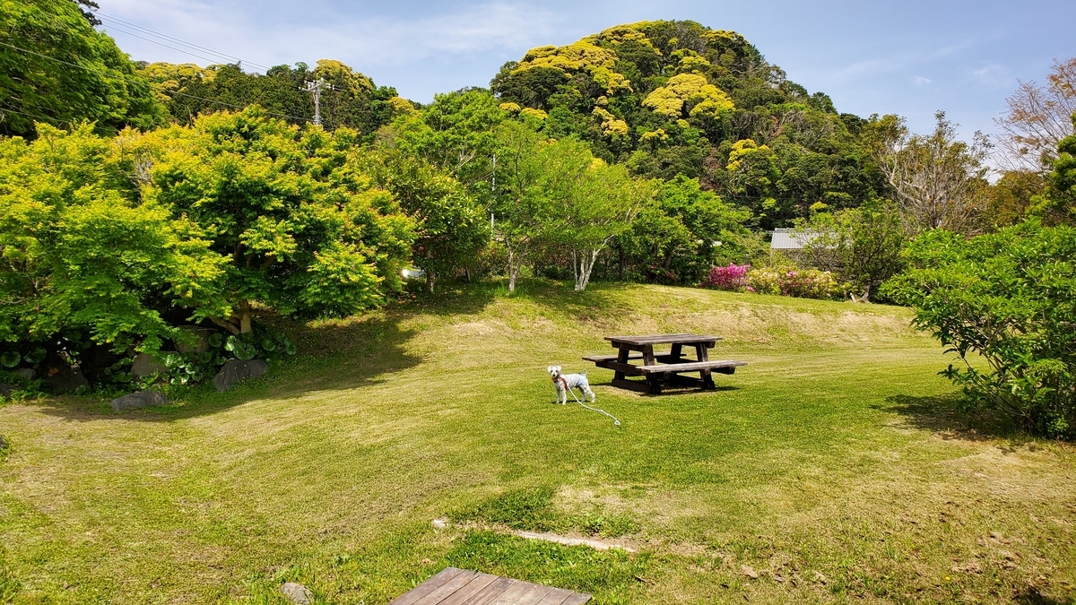 f:id:yotuba2014:20210918014947j:plain