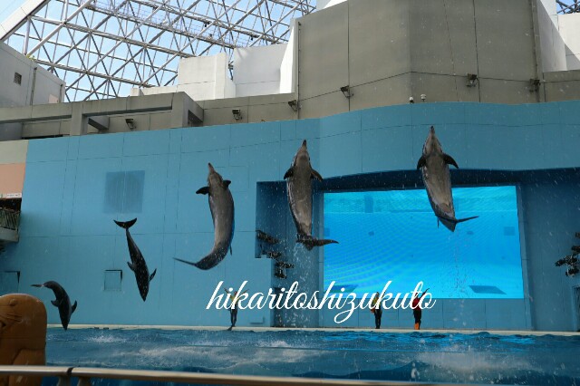 f:id:yotuba78:20180627144948j:image f:id:yotuba78:20180627144948j:image