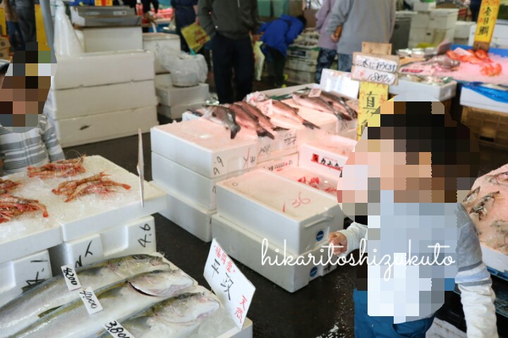 f:id:yotuba78:20190119155501j:plain f:id:yotuba78:20190119155501j:plain