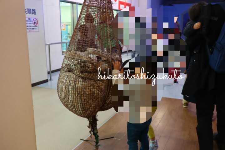 f:id:yotuba78:20190119155540j:plain f:id:yotuba78:20190119155540j:plain