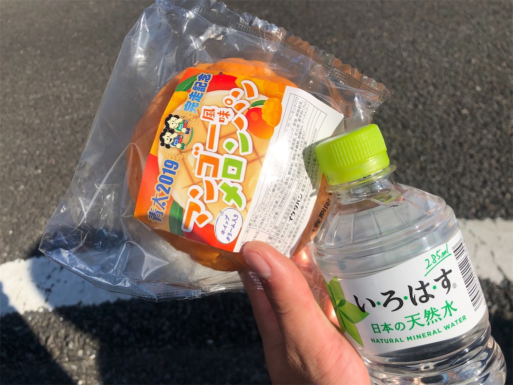 f:id:you-ge:20191220155656j:image