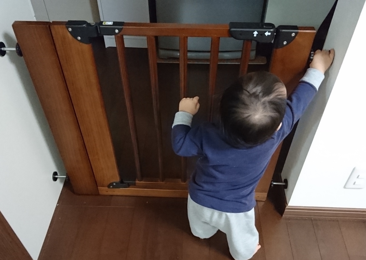 f:id:you-n77:20190413152658j:plain f:id:you-n77:20190413152658j:plain