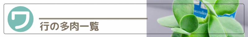 ダイソー 多肉図鑑 多肉一覧 ワ行