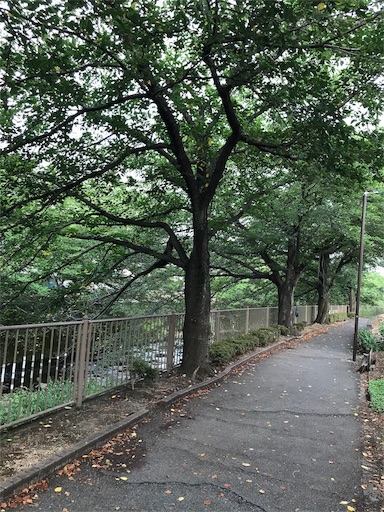 f:id:you-taro:20190813112139j:image