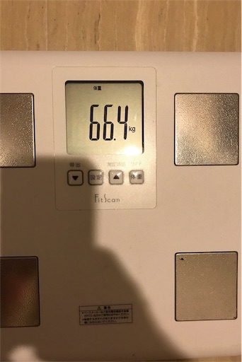 f:id:you-taro:20191111181336j:image f:id:you-taro:20191111181336j:image