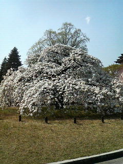f:id:you-you-club:20090408220519j:image f:id:you-you-club:20090408220519j:image