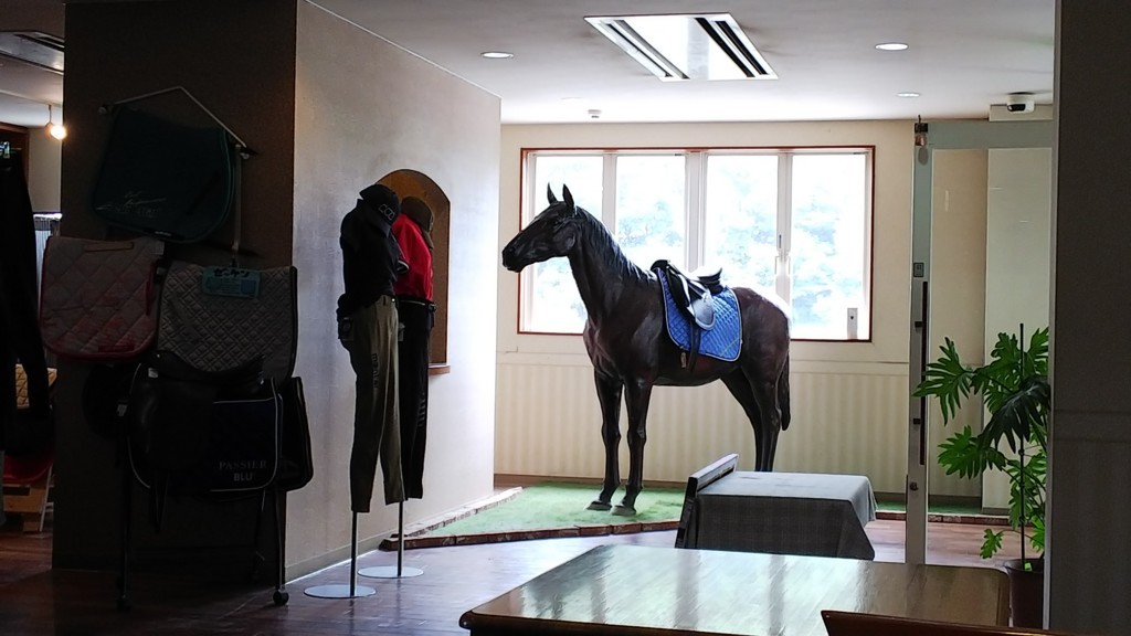 f:id:you-you-club:20180616231236j:plain f:id:you-you-club:20180616231236j:plain