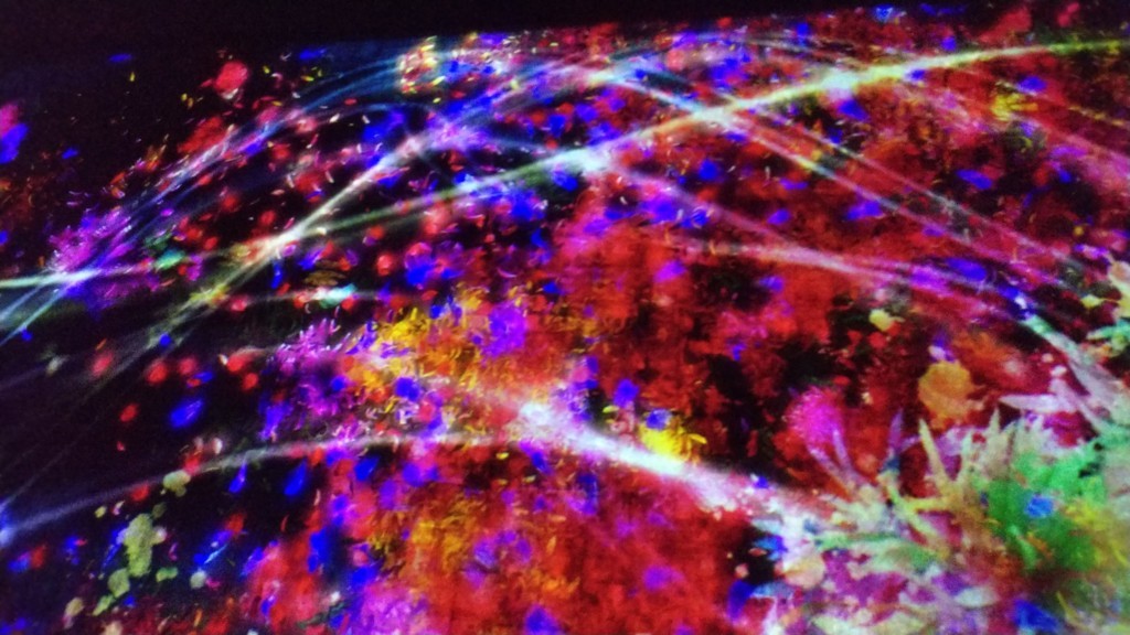 f:id:you-you-club:20180818133127j:plain