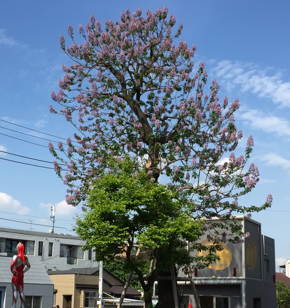 f:id:you3113:20150429143906j:plain f:id:you3113:20150429143906j:plain
