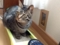 20120226104555