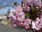 20130404213704